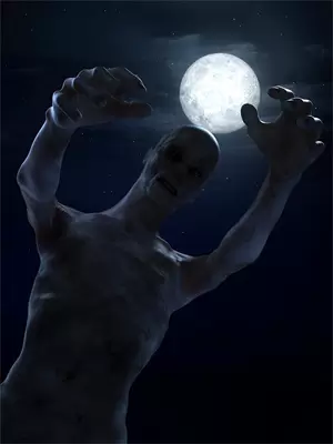 第1章雪夜托孤全文阅读