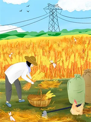 知了知了，想你了